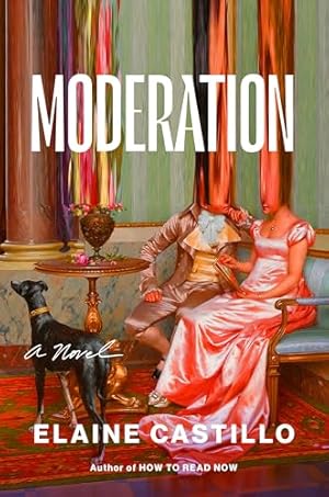 Moderation: A Novel