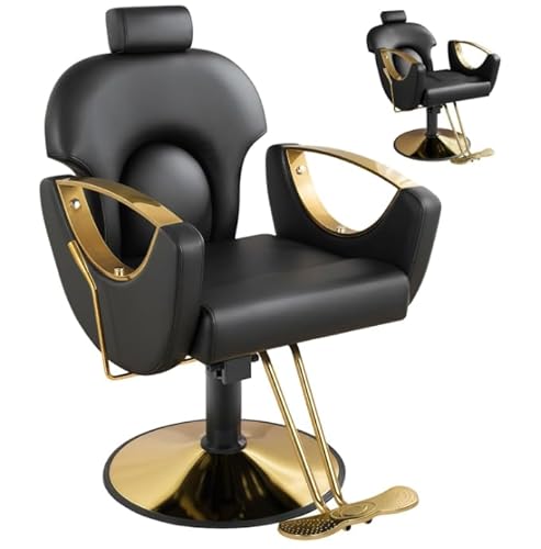 Hicomony Barber Salon Chair for Hair Stylist, Styling Hair Chair, Multi-Function Beauty Brading Hairdresser Armchair (Black)