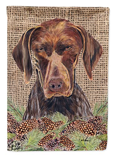 Caroline's Treasures SC9035CHF German Shorthaired Pointer Flag Canvas House Size, Large, multicolor