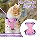 rabbitgoo Cat Harness and Leash for Walking, Escape Proof Soft Adjustable Vest Harnesses for Cats, Easy Control Breathable Reflective Strips Jacket, Pink & Purple, XS