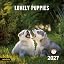 LOVELY PUPPIES