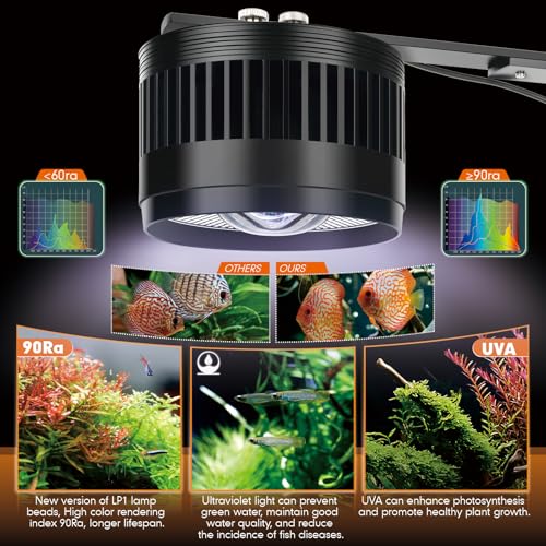 Image of AQQA Aquarium Clip-On Stream Light with Controller, LED Fish Tank Light with 3 Modes (White /RGB /Full Spectrum), Timer & 6 Brightness Levels, Adjustable Clamp for Freshwater Plants Fish Tanks 80W