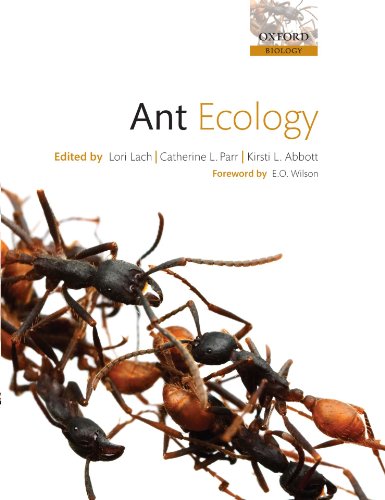 Ant Ecology view 2