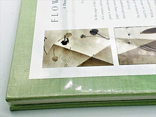 Amazon.co.jp: Zeva Oelbaum: 本、バイオグラフィー、最新アップデート