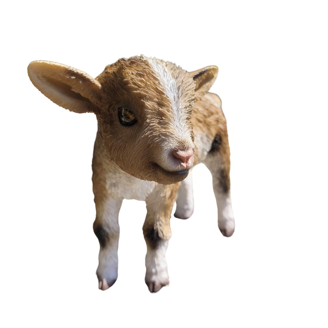 Vivid Arts - Kid Goat - Garden Decor - Indoor Outdoor (Beige & White, Small)
