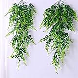 reben pflanzen mit gps Lebensweise für GEFÄLSCHTE BLUMEN IVY. Kann für - Home, Schule, Partydekorationen, Hochzeit, Festivalfeier, Hausraum verwendet werden. Sie können es an der Wand hängen, DIY. Blumensträuße, Wohnkultur, Indoor Outdoor Decoration, Garten, Büro, Veranda, Hochzeitsdekoration, diese entzückenden Pflanzen sind eine großartige Wahl für Ihre Töpfe, Vasen, Behälter.