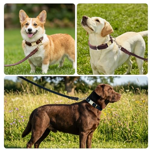 VOKYLR Leather Collar and Leash Set
