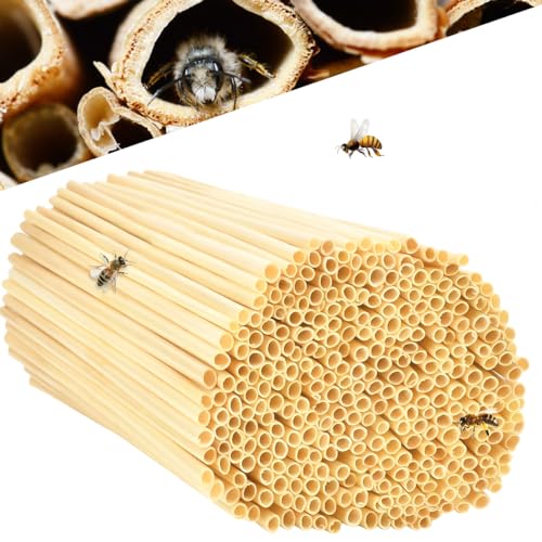 Insektenhotel Füllmaterial 300 STK Nisthülsen für Wildbienen 14 5 cm lang Nisthülsen für Insektenhotel Niströhren für Wildbienen Weizenhalme füllung für Wildbienenhotel Bienenhotel Nisthilfen