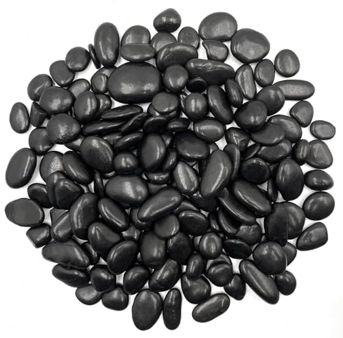 Image of RITOLLO 2.5lb Black Pebble Rocks 3 /8-1 Inch Polished Natural Aquarium Gravel Decorative Fish Tank Rocks Garden Landscaping Decor