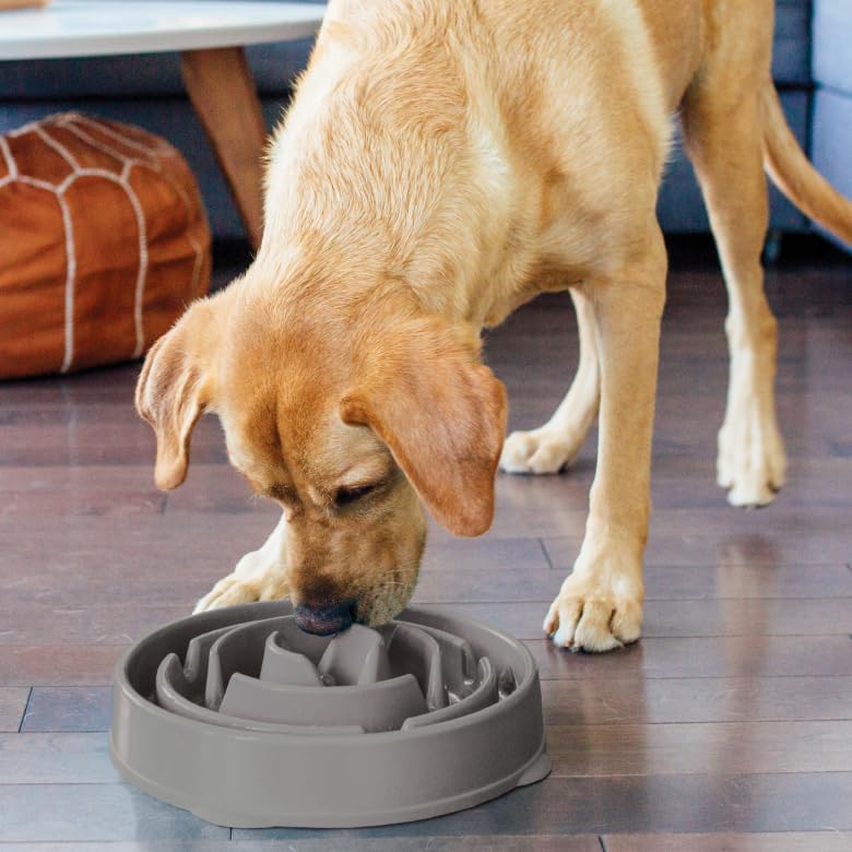 Outward Hound Antischlingnapf Hunde - Slow Feeder Hundenapf, für mehr Fressspaß, langsameres Fressen, beugt Blähungen vor, Rutschfester langlebiger Hunde Wasser- & Futternapf, Größe Mittel (Grau)