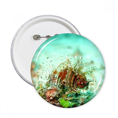 Badge Lionfish pour customiser un vêtement basique sans couture