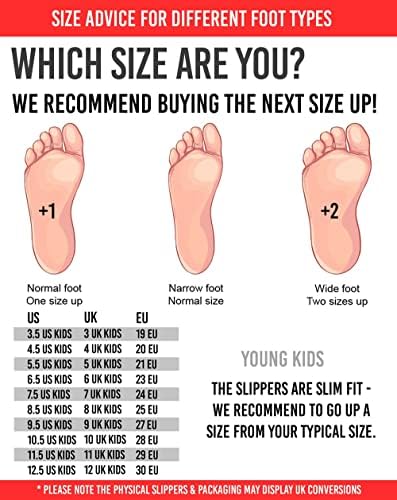 Blues Clues And You Slippers Kids Toddlers 3D Ears Blue House Shoes 6.5 US Kids | Image 1