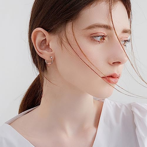 YFN Hoop Earrings with Cat Hummingbird Bird Horse Snake Mountain Dinosaur Earrings Sterling Silver for Sensitive Ears Cute Animal Hoops Gifts for Women4