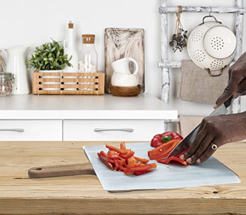 Mind Reader DCB202PK-BLU Disposable Plastic Cutting boards, Square, Easy Clean-Up and Convenient Use, Ideal for Camping, -Hunting, Boating, One Size, Blue 50 Sq Feet