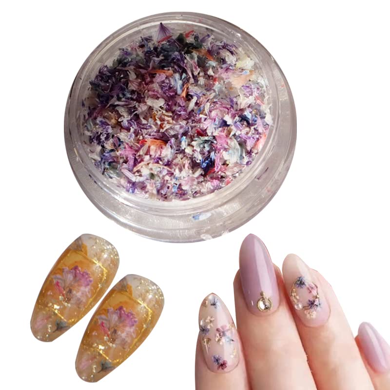 ドライフラワー ネイルパーツ 押し花 天然花 花 デコパーツスターフラワー Amazon.co.jp: ドライフラワー ネイルパーツ 押し花 レジン用 花