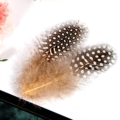 Tharaht Spotted Feathers 120Pcs 2-3Inch Small Natural Bulk Guinea Pheasant Feather For Crafts Hats Dream Catcher Decoration Feathers,Champagne #TOP5