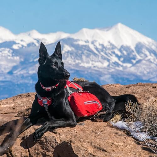 Kurgo Hunderucksack Baxter, Hundesatteltasche mit 2 Seitentaschen fürs Wandern, Für Hunde von 13 bis 38 kg geeignet, Rot