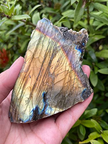 Image of Natural Labradorite Slab, High Flash Free Standing Display Specimens, Raw Labradorite Slab Cut Base (3-4 lbs)