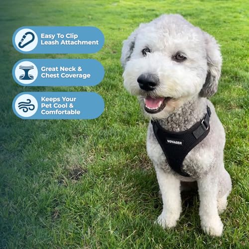 Image of Best Pet Supplies Voyager Step-in Lock Pet Harness w Reflective Pet Leash Combo Set with Neoprene Handle 5ft - Supports Small, Medium and Large Breed Puppies /Cats - Black Set, L