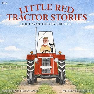 The Day of the Big Surprise Audiobook By Peter Tye cover art