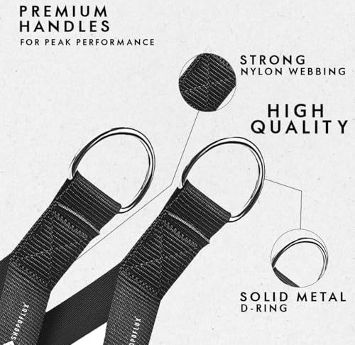 Image of Shopoflux Heavy Duty Handles with Solid ABS Cores and Welded D-Rings for Gym Machine, Resistance Band, Cable Machines (1 Pair) (Blue)
