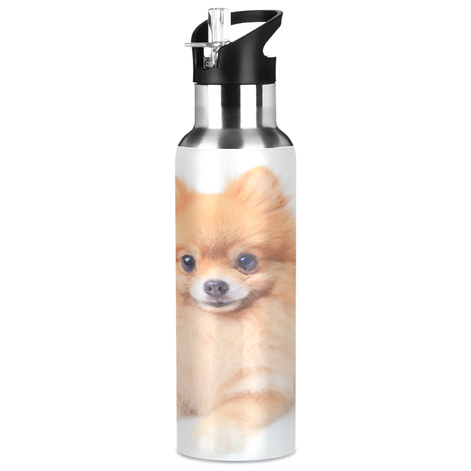 ALAZA Pomeranian Dog Water Bottle with Straw Lid Vacuum Insulated Stainless Steel Thermo Flask Water Bottle 20oz