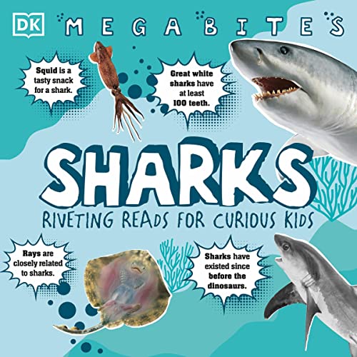 Sharks by Dr Miranda Macquitty episode artwork
