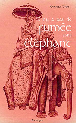 Il n'y a pas de fumée sans éléphant Livre eBook France