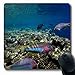 Produktbild Luancrop Mousepads Große wunderbare Unterwasserwelt Philippinen Korallen Tropische wild lebende Tiere Aqua Natur Australien Oblong Gaming Mouse Pad rutschfeste Gummimatte