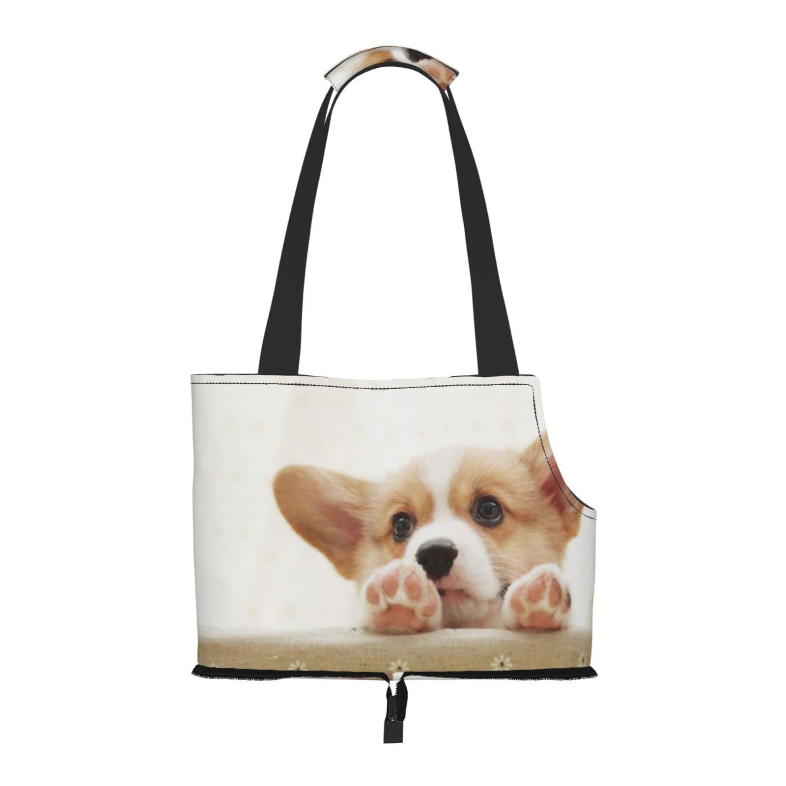 Paylamon Borsa A Tracolla Portatile Compatibile Con Cani E Gatti - 11