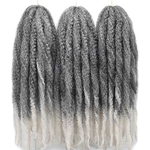 Ms.priceless 24 Inch Marley Hair Marley Twist Braiding Hair For Faux Locs For Butterfly Locs Long Afro Kinky Cuban Twist Crochet Hair For Black Woman Grey Color (T1B/Silver, 3Packs-24 Inch) #TOP19