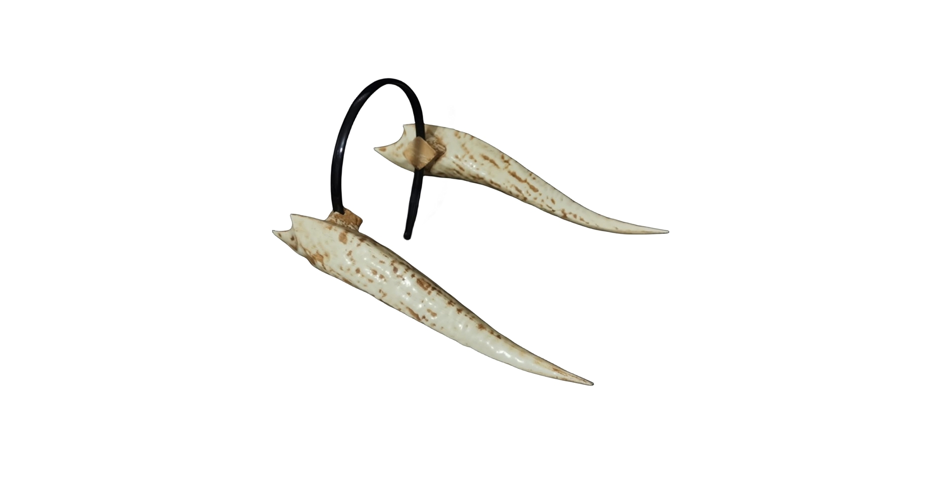 51YPyLUuL7L.jpg_BO30,255,255,