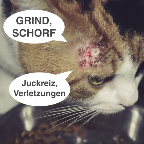 FürDeinTier Skin feuchthaltend | 100 ml Wundschutz- und Wundsalbe für Hunde, Katzen und Pferde geeignet | mit Propolis-Extrakt, Sheabutter, Panthenol