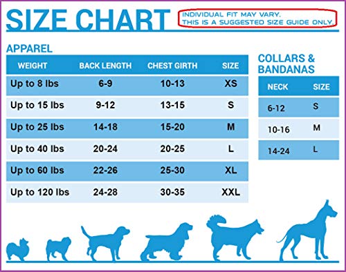 Image of MLBPA Kris Bryant #17 TEE Shirt for Dogs & Cats. MLB Chicago Cubs Dog T-Shirt, Small | Sports Dress for Pets | Licensed Sporty Dog Shirt.