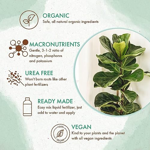 Fertilizante Líquido Orgánico para Ficus - 8 oz miniatura 4