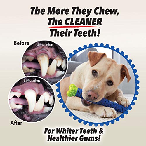 Image of BulbHead Chewbrush Toothbrush and Toy - No Dog Toothpaste Required - Great Teeth Cleaning Toy (1 Pack)