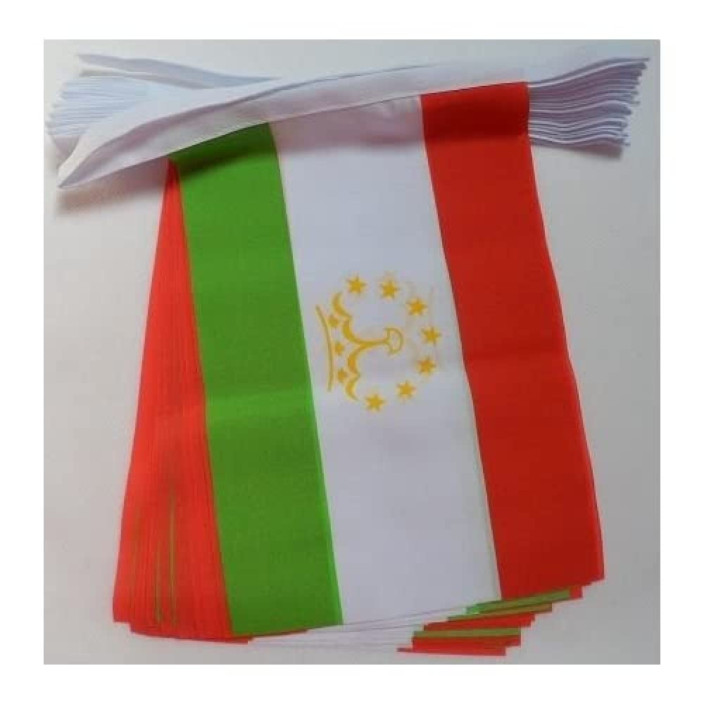 AZ FLAG Tajikistan Bunting Flag, 20 Ft Garland with 20 Small Tajik Flags 8'' x 6'', 100% Polyester String Pennant, 6 meters — image 1