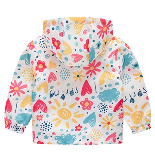 Toddler Boys Girls Zip Hooded Jacket Graphic Long Sleeve Windproof Trench Coats Kids Windbreaker (Multicolor, 4-5 Years)2