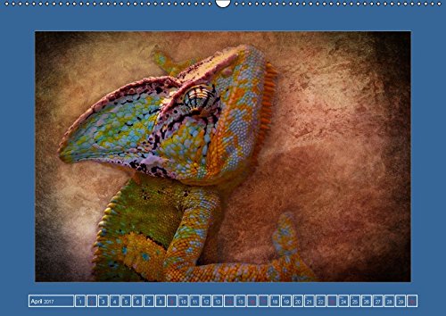 Die schönsten Tierportraits der besonderen Art (Wandkalender 2017 DIN A2 quer): Ausdruckstarke Portraits aus unserer wunderbaren vielfältigen Tierwelt ... Angela und DESIGN Photo + PhotoArt, AD