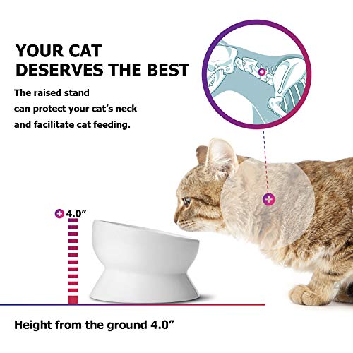 Y Yhy Elevated Cat Food Bowl, Raised Pet Food And Water Bowl, Cat And Small Dog Bowl, Tilted Ceramic Cat Water Bowl No Spill,15Oz, Dishwasher Safe #TOP2