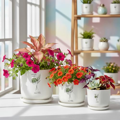 Image of Xtore Heritage Ceramic Planter Set with Drainage Trays | Pro-Decal Style Pots for Home & Balcony Decor - (Set of 3, White, Planter ONLY)