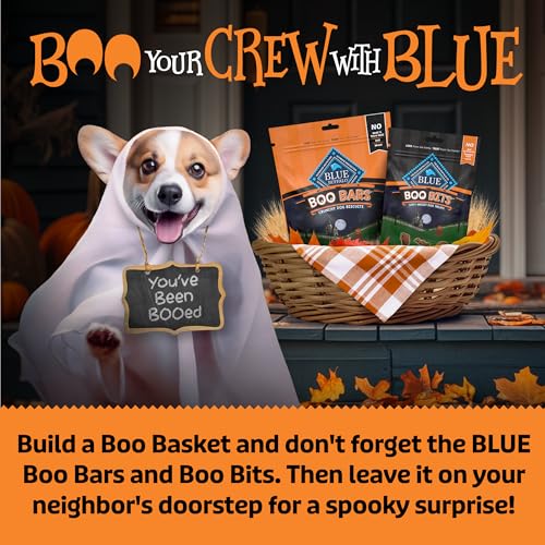 Blue Buffalo Boo Bits Soft & Chewy Halloween Dog Treats, Tasty Chicken Recipe, 4.5-oz Bag (Pack of 4) - image 5