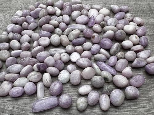 Image of GAF TREASURES 1 /2 LB Kunzite Tumbled Stones, Polished Natural Kunzite Gemstone, Kunzite Healing Crystals (Kunzite)
