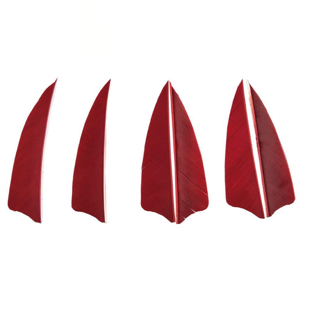 SHARROW 50pcs Arrow Turkey Feathers 3 inch Natural Feather Fletching Right Wing Peltate (Red) — image 1