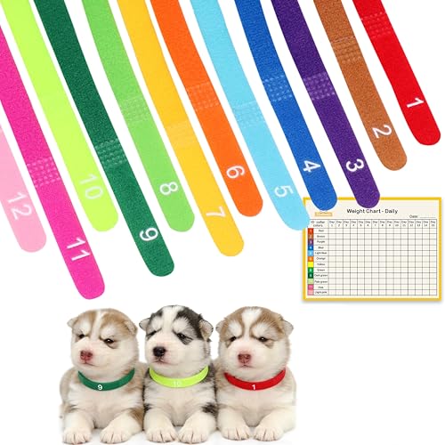 Image of Newborn Puppy Collar Set of 12 with Numbered Tags & Weight Tracker Chart, Soft Adjustable Kitten Collar, Puppy Collars for Litter, Whelping Supplies for Kitten Small Dogs (S /M /L) (L)