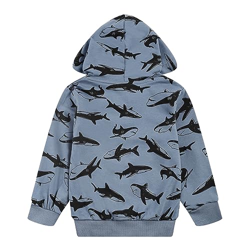 Image of Toddler Zip Up Hoodie Sweatshirt Fall Clothes Boys Jacket With Hood 2-7 Years