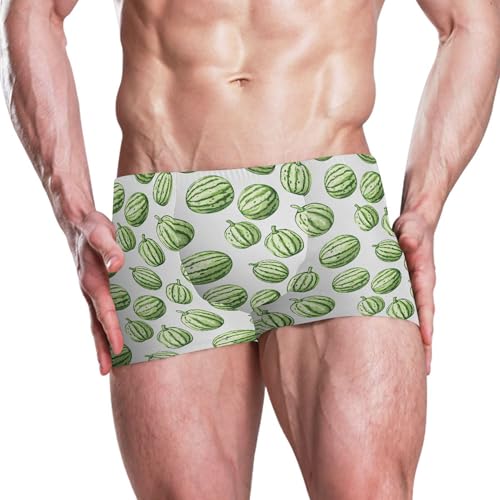 Watermelon Fruit Mens Swim Trunk Swimwear Bathing Suit Swim Brief Square Leg Board Short S B04048182