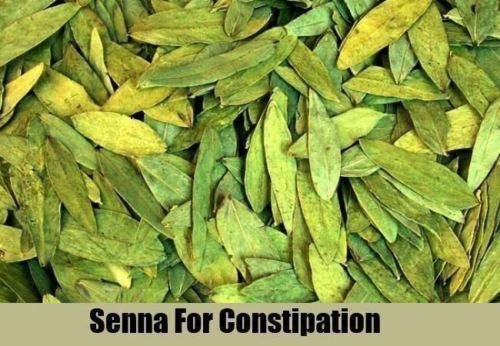 Organic Senna Leaf,Tea (8 oz) Dry Jamaican Herb, herbal tea,And More!