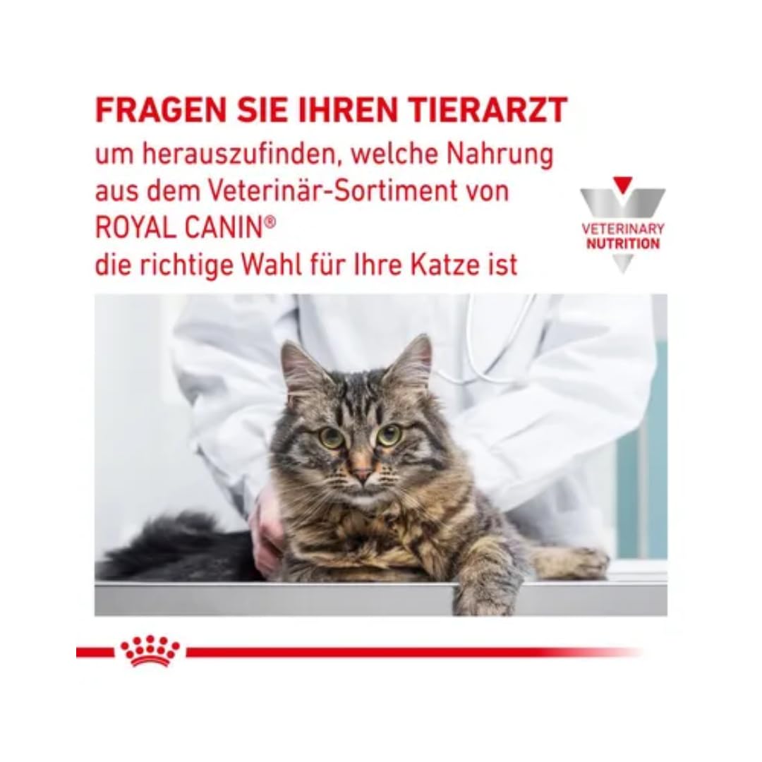 Royal Canin Veterinary Recovery 12 x 195 g Aliment Complet Diététique pour Chiens et Chats Adultes