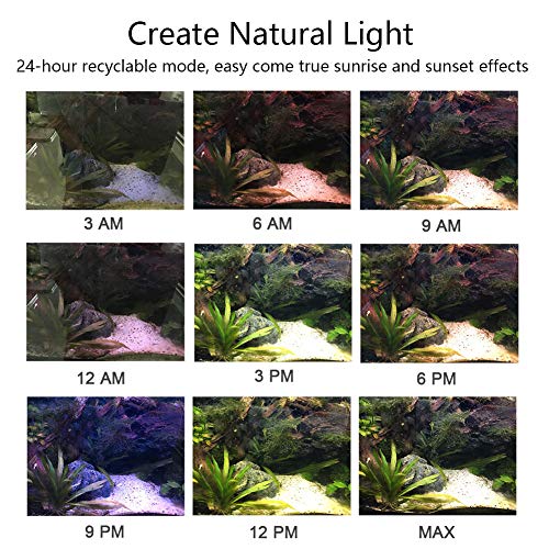MQ 7W RGB Aquarium Light, 12 in LED Fish Tank Light with Extendable Brackets, 24/7 Automated Planted Plus Aquarium Light with Remote Controller - Thumbnail 3